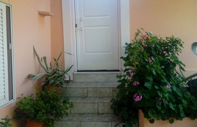 Garden Of Olive Trees - Photo 19