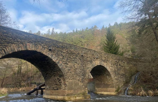 Holiday Home in Forest With Private Pool - Foto 28