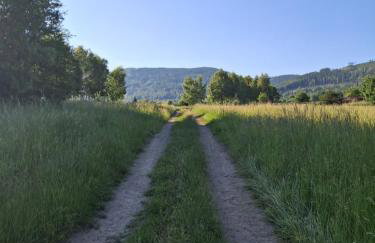 Sowie Pokoje - Foto 28