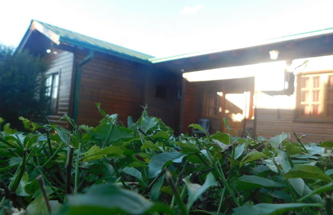 Cabañas Araticu - Foto 4