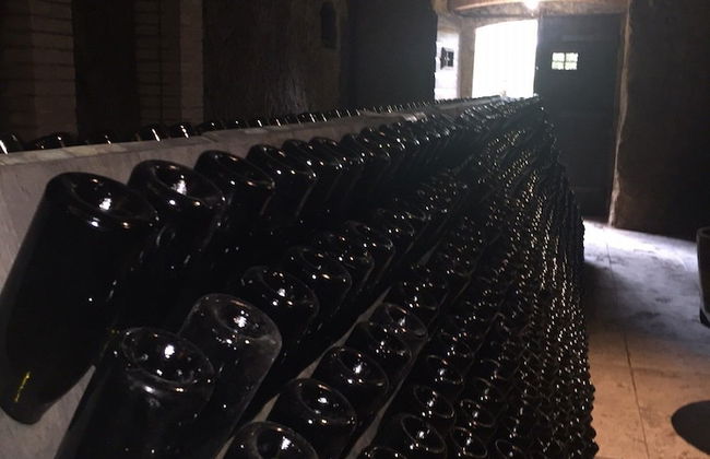 Torraccia di Chiusi - Foto 67