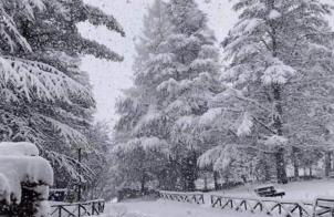 Appartamenti Paolo - Foto 39