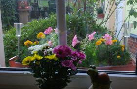 Gästewohnung zum Wohlfühlen - Foto 1