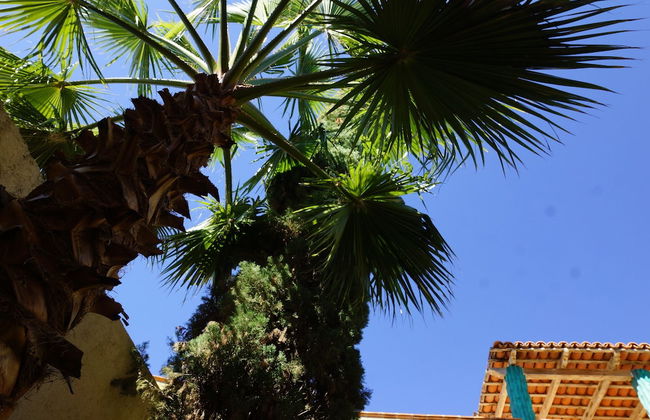 Colonial Style House - Foto 16