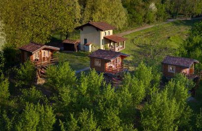 Ecolodge Langhe - Foto 11