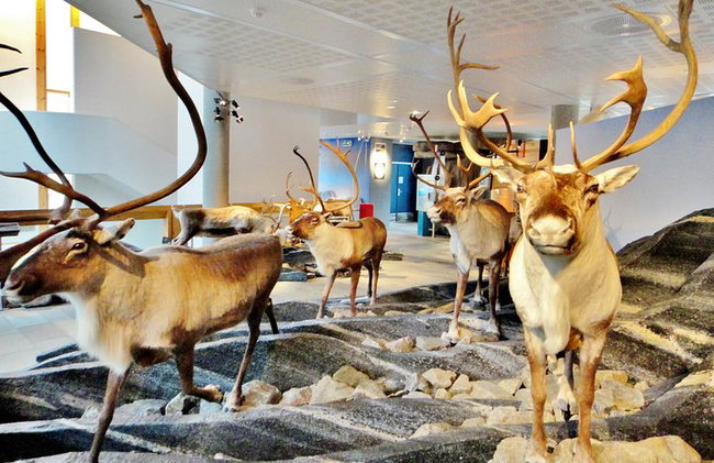 AMAZING HARDANGER FJORD: Private guided round trip from Bergen, 10 hours - Photo 35