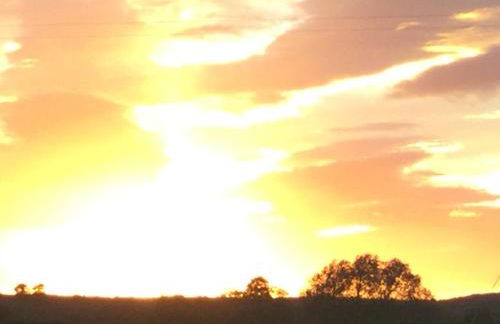 Morgan's Rest - Foto 7