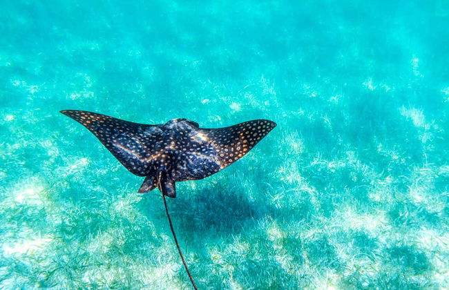 Excursión a Sian Ka’an - Foto 6