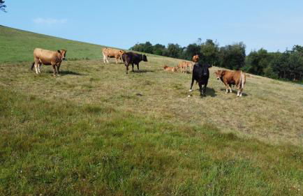 Casa "LA OCA" - Planta Baja Independiente en Vivienda Independiente - Foto 27