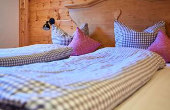 Ferienwohnungen Bergbleamal - Foto 32