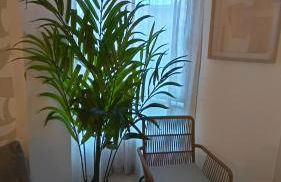 Suites Corazón Andaluz Málaga - Foto 6