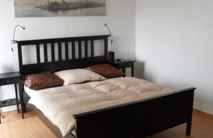 Central City Apartment Würzburg with private Parking - Foto 7