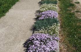 Apartment Milka - Foto 7