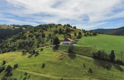 Gîtes de Moyenmont - Foto 31