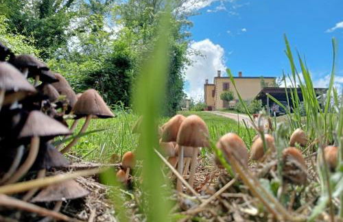 Il Gelso Rosso - Foto 36