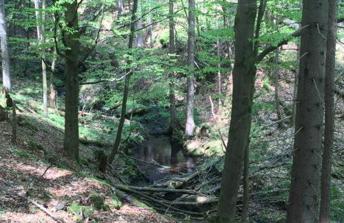 Ferienwohnung Paul Schwarzenberg - Foto 14