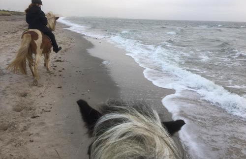 Ostseebauernhof Schönhagen - Foto 24