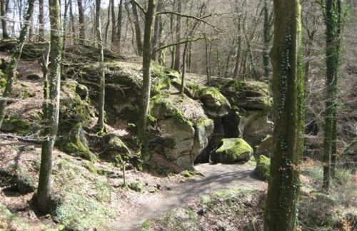 Ferien auf dem Bermeshof - Foto 7