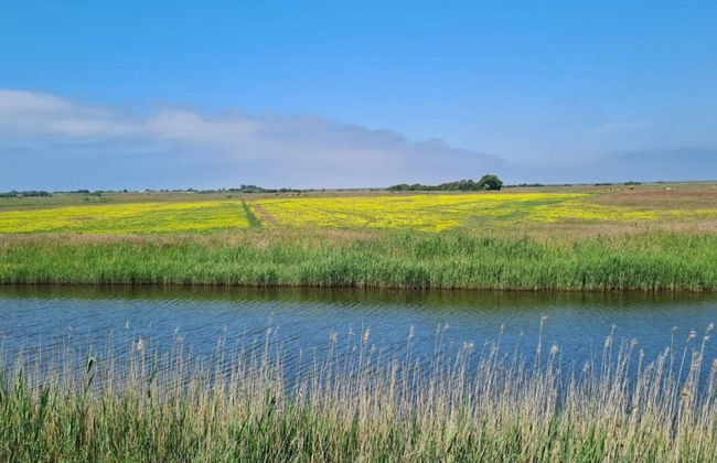 6 Person Holiday Home in Ribe-by Traum - Foto 32