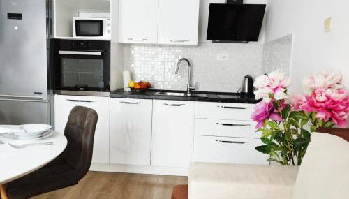 Apartment Nela - Photo 2, stove, toaster