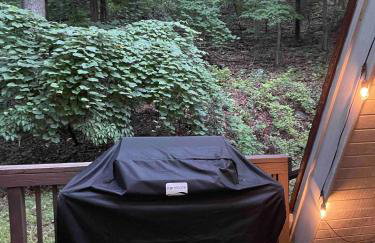 Apple Mountain Retreat at Shenandoah National Park - Foto 26