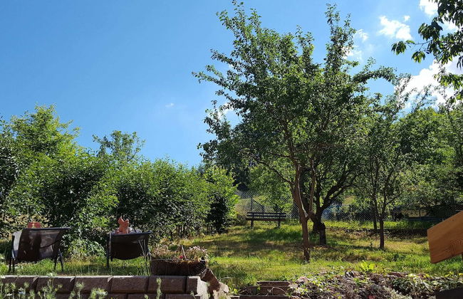 Charming Holiday Home With Natural Garden in Kaltennordheim-thuringia - Foto 42