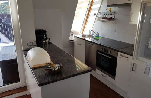 Penthouse über den Dächern Badenweilers - Foto 3