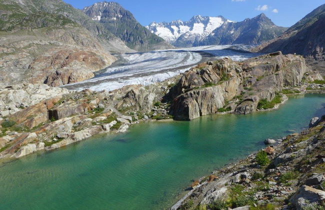 Amici 1. OG West - Foto 13