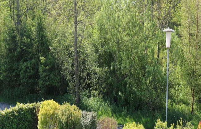 Borkum Ideal 71 A Comfortable Holiday Residence - Foto 15