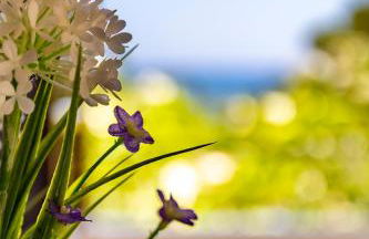 Nice to stay - Foto 17