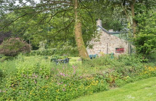 Rhyd y Brown Farmhouse Llys Y Fran, Clynderwen - Photo 11