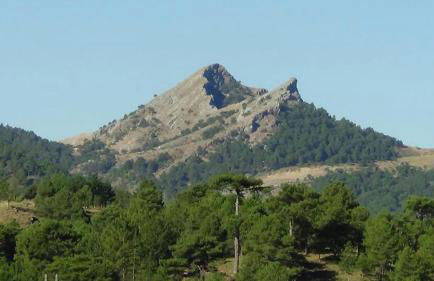 Casa Rural Los Nogales - Foto 36