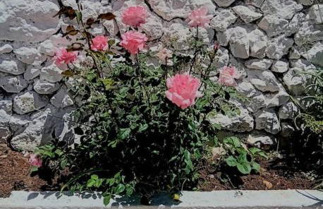 BOYZIANAS home - Foto 30