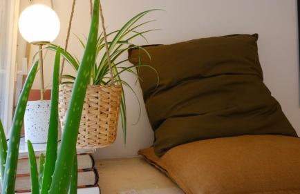 Studio apartment Manu - Foto 15