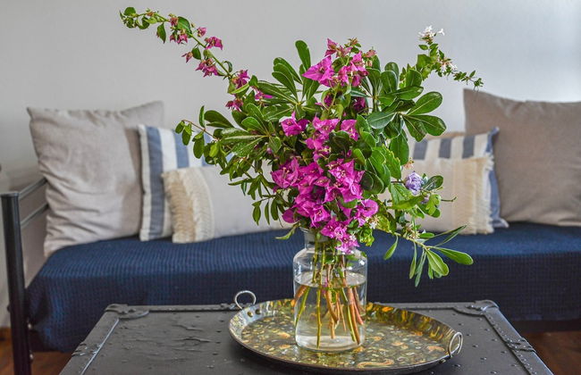 Anoi Traditional House Patmos Architectural Charm - Foto 15