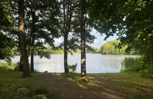 Krecia Dolina - Kaszubskie Wzgórza - Foto 49