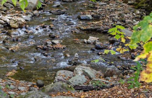 Fox Den Tiny House w/hot tub 1min to Smuggs - Foto 29