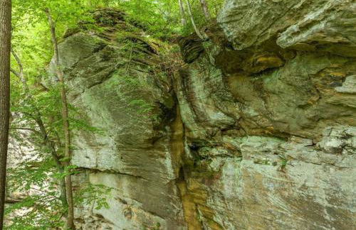 Beech Timber- 30 Acre Secluded Glamping in RRG - Foto 70