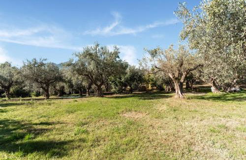 Cottage in Bomba near Lake Bomba - Foto 28