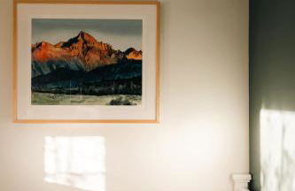 Exquisite Craftsman - RiNo&Cole - Backyard Garden - Photo 18