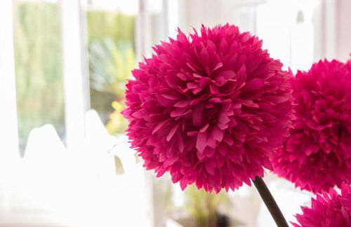 Family Beach Malibú II - Photo 30