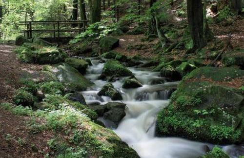 FeWo Charlotte - Foto 35