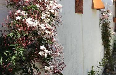 Casa da Galega - Foto 8