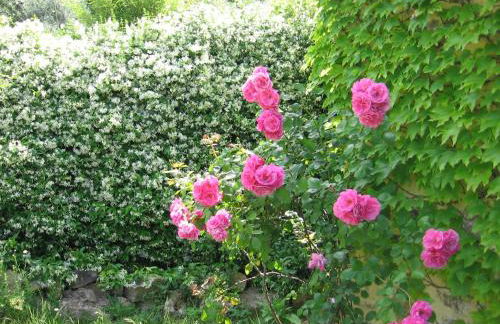 Les Genêts - Foto 29