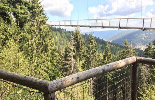 Ferienwohnung Kuckuck auf dem Sommerberg incl Schwarzwald Plus-Karte - 2 Zimmer 50qm - Foto 75