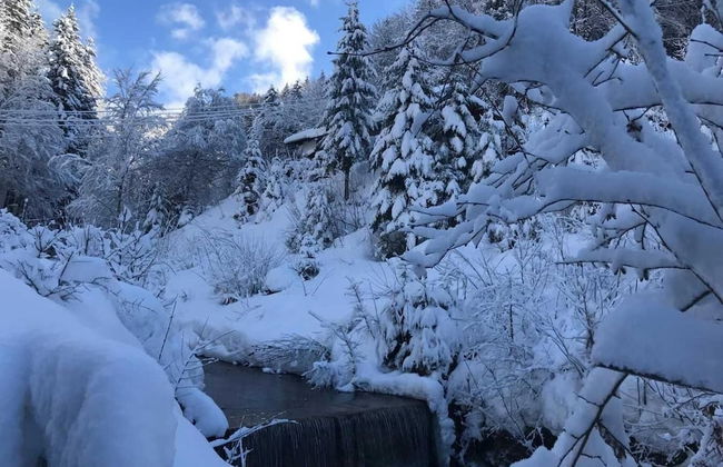 Wildromantisches Appartement am Bachlauf - Photo 23