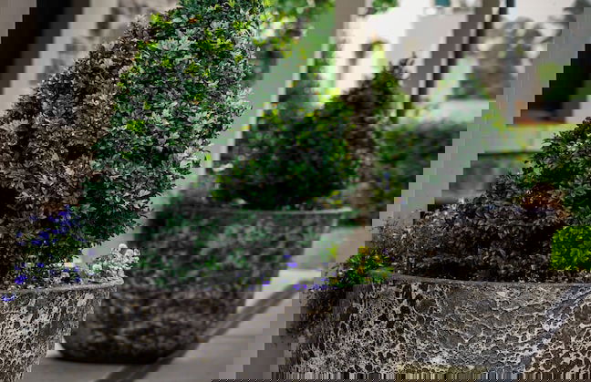 Barossa Bed & Breakfast - Foto 21