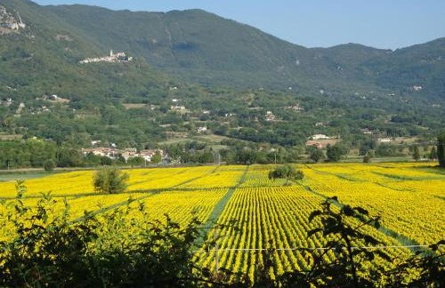 la bottega del fabbro affitto breve - Foto 23