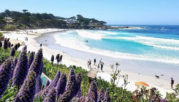 Excursión privada desde San Francisco - Foto 2