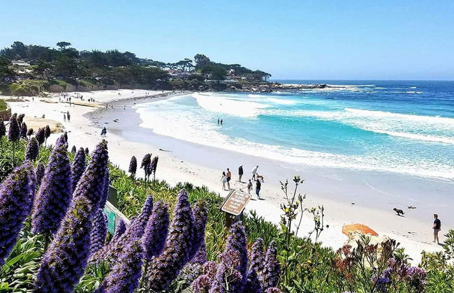 Private Day Trips from San Francisco - Photo 2